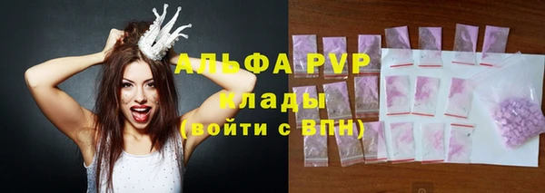 твердый Мегион