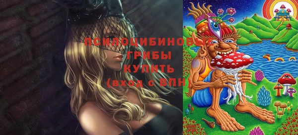 твердый Мегион