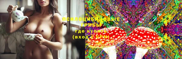 твердый Мегион