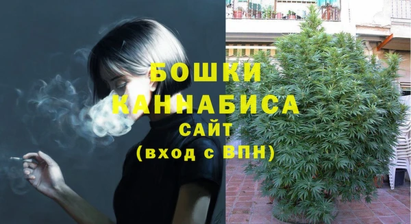 твердый Мегион
