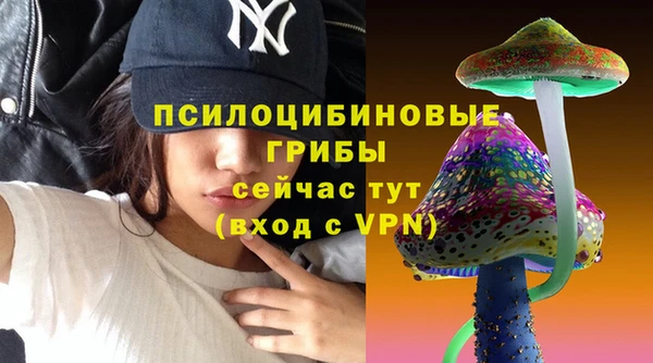 трава Медногорск