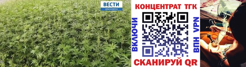 Купить где  Заводоуковск  Дистиллят ТГК концентрат 